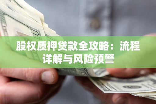 武汉股权质押贷款全攻略：流程详解与风险预警