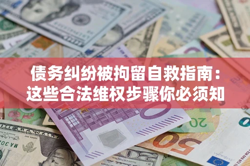 武汉债务纠纷被拘留自救指南：这些合法维权步骤你必须知道！