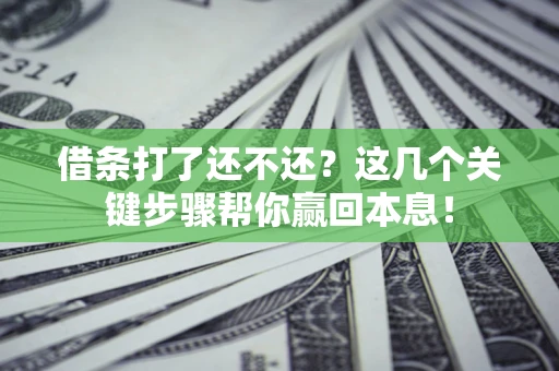 武汉借条打了还不还？这几个关键步骤帮你赢回本息！