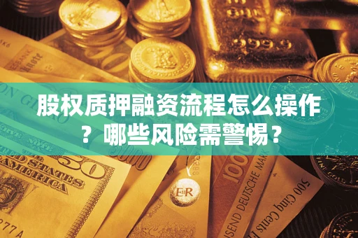 武汉股权质押融资流程怎么操作？哪些风险需警惕？