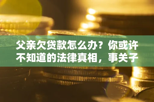 武汉父亲欠贷款怎么办？你或许不知道的法律真相，事关子女未来