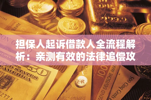 武汉担保人起诉借款人全流程解析：亲测有效的法律追偿攻略