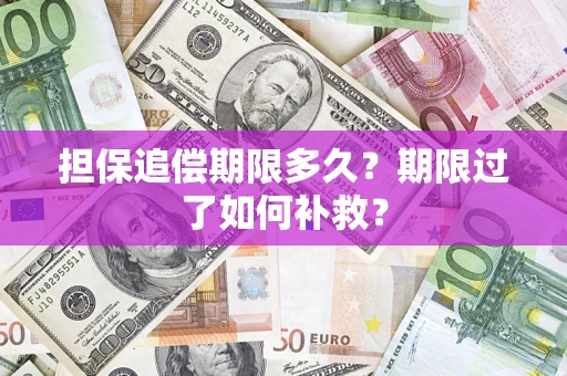 武汉担保追偿期限多久？期限过了如何补救？