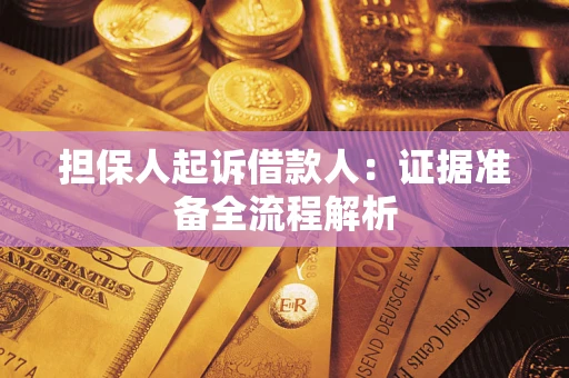 武汉担保人起诉借款人：证据准备全流程解析