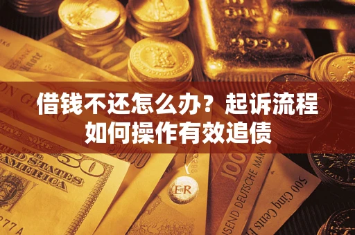 武汉借钱不还怎么办？起诉流程如何操作有效追债