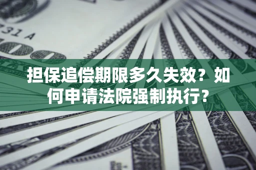 武汉担保追偿期限多久失效？如何申请法院强制执行？