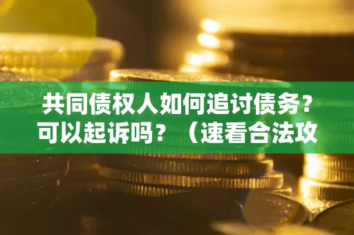 武汉共同债权人如何追讨债务？可以起诉吗？（速看合法攻略）