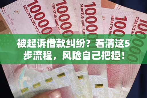武汉被起诉借款纠纷？看清这5步流程，风险自己把控！