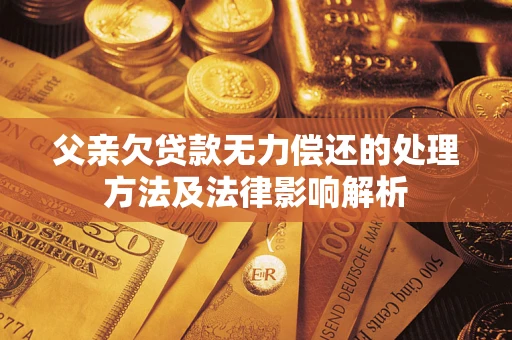 武汉父亲欠贷款无力偿还的处理方法及法律影响解析