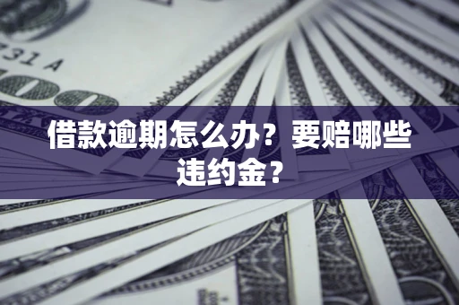 武汉借款逾期怎么办？要赔哪些违约金？